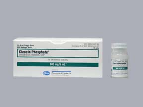 CLEOCIN PHOSPHATE (CLEOCIN PHOSPHATE) 